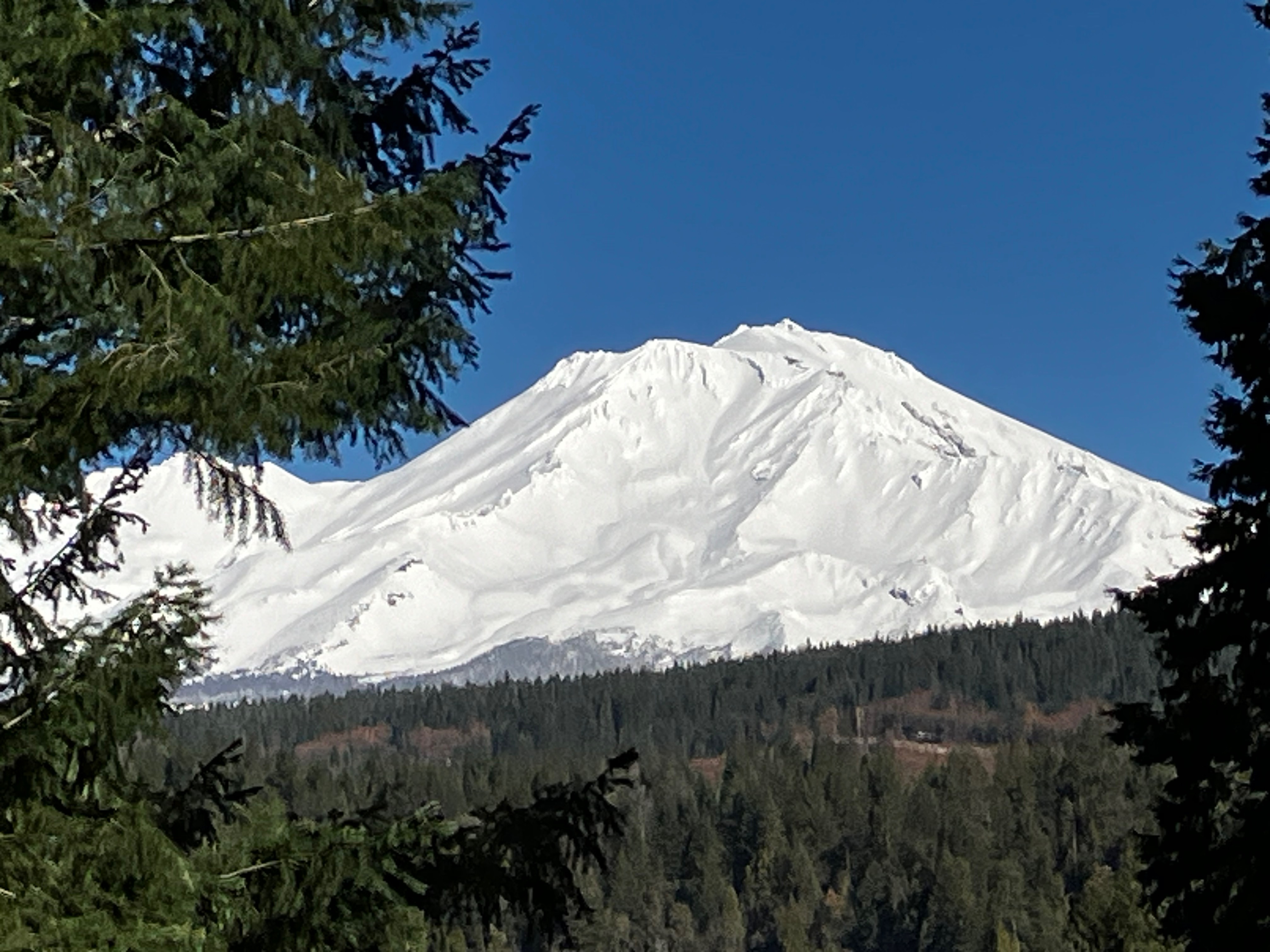 A place called "Home"